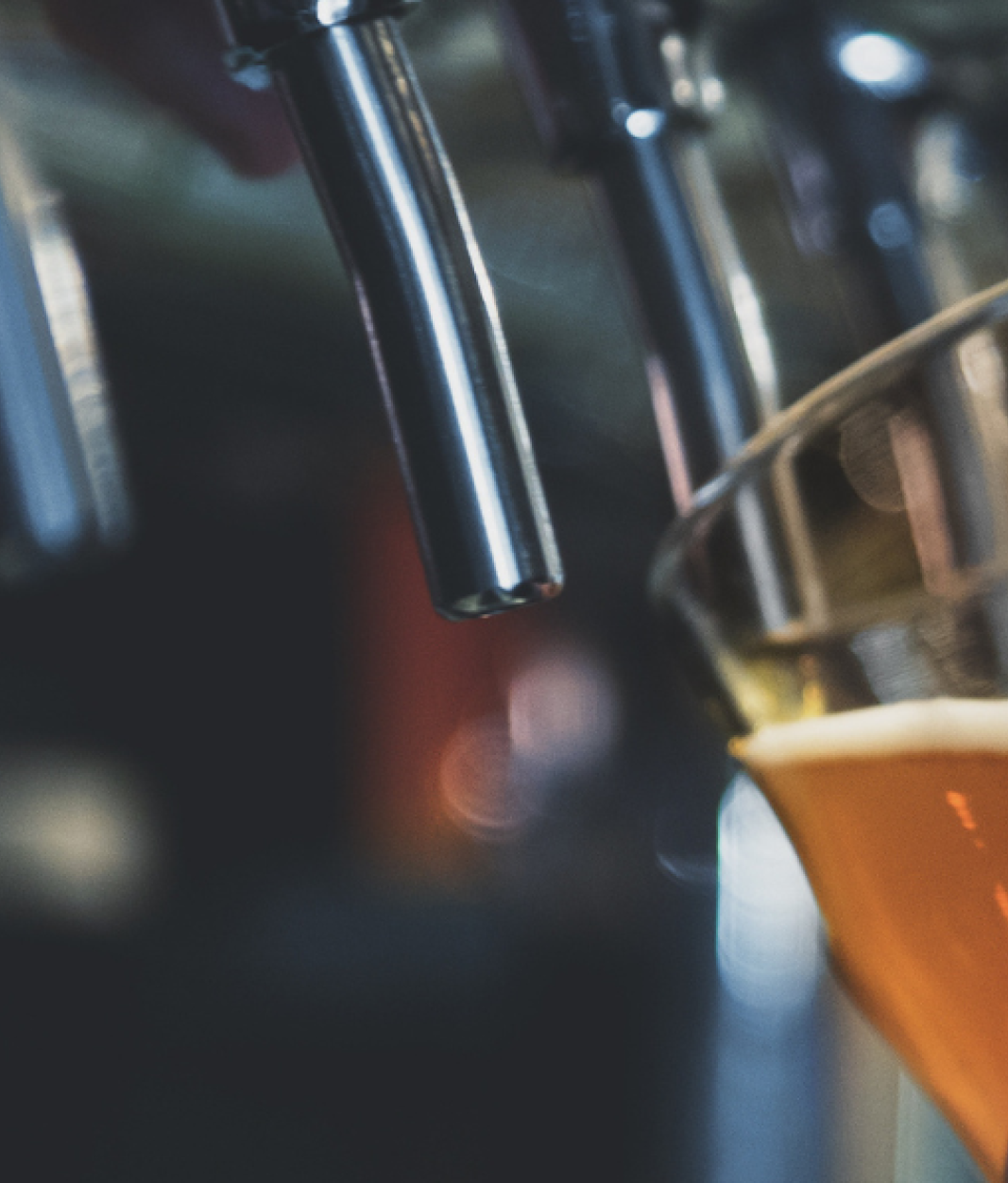 Beer dispenser 