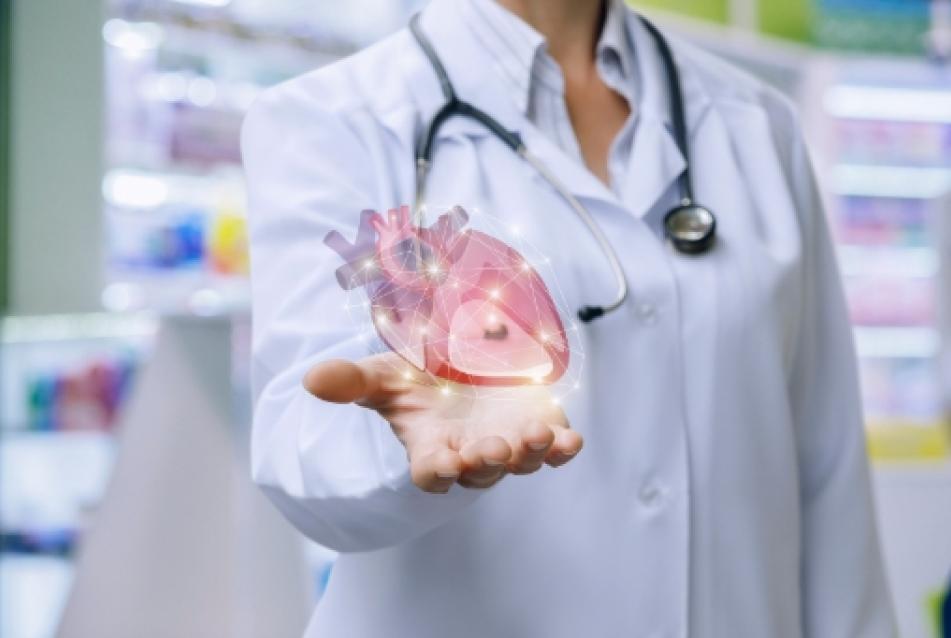 Cardiovascular solutions heart in the hand of doctor